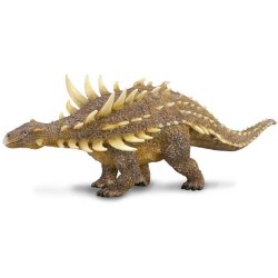 COLLECTA POLACANTHUS -L-...