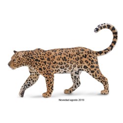 COLLECTA LEOPARDO AFRICANO...