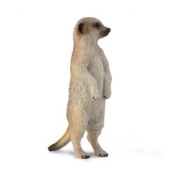 COLLECTA SURICATA -  S -...