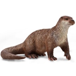 COLLECTA NUTRIA COMUN- M -...